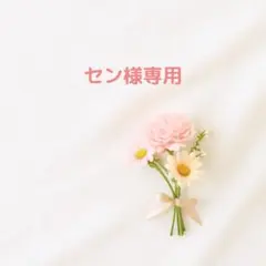 セン様 6点 アイスキューブ、カップM、VIP6色、たいやき、くすみ懐、DECO