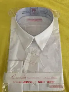 Item thumbnail for item 857c3513-d8c8-4fc0-8a93-da24d60fd7a0