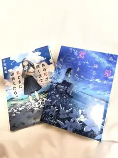 あの花が咲く丘で君とまた出会えたら あの星が降る丘で君とまた出会いたい 恋愛小説