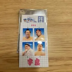 Item thumbnail for item bba32f7b-7d8f-40f6-bbea-6cef8b048318