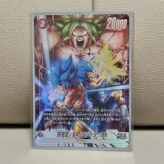 フュージョンワールド孫悟空:BR /ベジータ:BR FB09-11 sr★