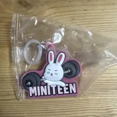 ミニティーン　めじるしアクセサリー　エスクプス