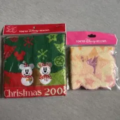 東京ディズニーリゾート ミニタオル 2枚セット ミッキー ミニー ティンカーベル