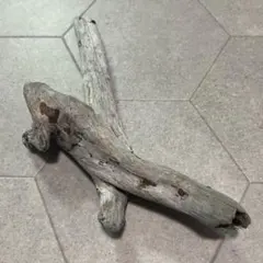 流木 アクアリウム 爬虫類 レイアウト素材 約31cm