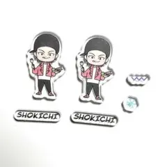 即購入可 SHOKICHI アクリルパーツ EXILE