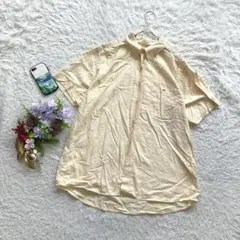 ✨大きいサイズ✨ ラコステ 半袖シャツ ボタンダウン 綿100% 44 メンズ