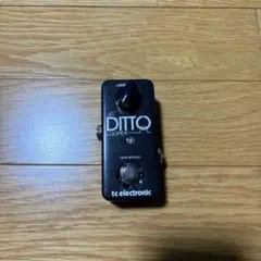 ほぼ未使用✴︎TC Electronic 最新 DITTO + LOOPER TC Electronic DITTO 2 LOOPER - 株式会社エレクトリ