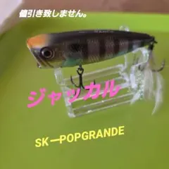 Item thumbnail for item d35d530a-cdb3-465c-bbf5-dffbf2f213d3