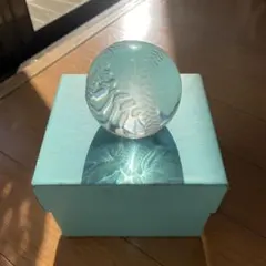 2026年最新】ティファニー ペーパーウェイトの人気アイテム - メルカリ