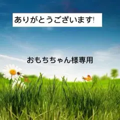専用