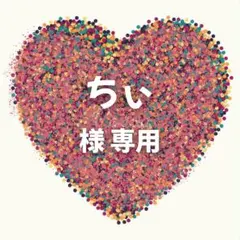 ちぃ様　専用ページ 13セット+トレー1セット