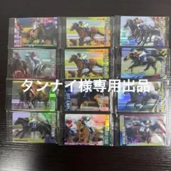 タンナイ様専用出品　サラブレッドホースコレクションツインウエハース　12枚セット