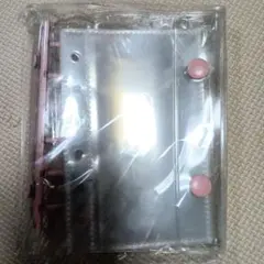 Item thumbnail for item b40b0313-5185-4621-90d7-89d2a038988d