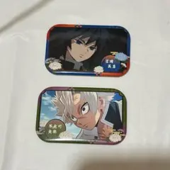 鬼滅の刃 冨岡義勇 不死川実弥 缶バッジ2点セット