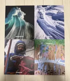 2026年最新】パタゴニア カタログの人気アイテム - メルカリ