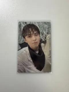 Sector17 バーノン　トレカ