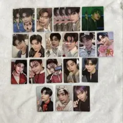 ゼベワン　トレカ　ゴヌク　まとめ売り