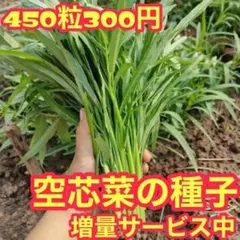 COCO様 リクエスト 3点 まとめ商品