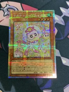 マルチャミー・ニャルス　プリシク