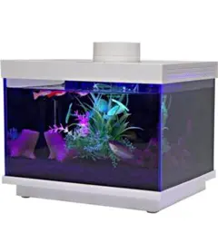 2026年最新】ガラス水槽の人気アイテム - メルカリ