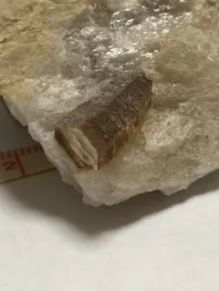 ほやて様 リクエスト 2点 まとめ商品