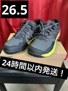 2026年最新】ヨネックス バドミントンシューズ サブアクシアGT メンの