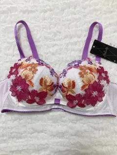 サルート 88シリーズ ブラジャー サルート 88シリーズ ブラジャー サルート 88シリーズ