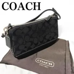 コーチ　アクセサリーポーチ　ワンショルダーバッグ　シグネチャー　型押し
