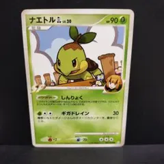 2026年最新】ナエトル ミニカードの人気アイテム - メルカリ