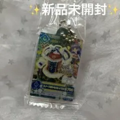 アイカツだれでもアイドル活動アクリルチャーム2スノープリンセストップス　ガチャ