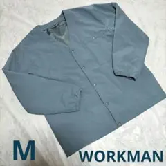 Item thumbnail for item 8f8dacb9-010c-4223-bfa7-e6aff98d6947