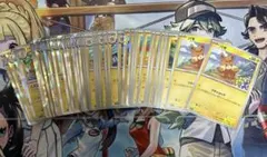 パモ パモット パーモット 進化ライン まとめ売り