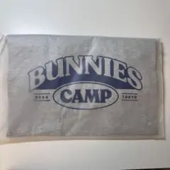 Item thumbnail for item 9b52c236-d54e-4261-ae4f-ed6cd3e8b220