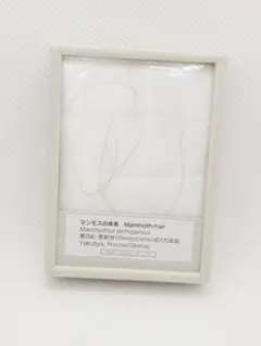 Item thumbnail for item 2f74c87c-a9ad-417f-abcf-deb3a76f6e2f