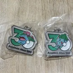 ポケモン 30周年 メタルチャームマスコット