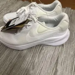 Item thumbnail for item b18e7b6c-aea8-43d5-bf95-9c9f1e50b9eb