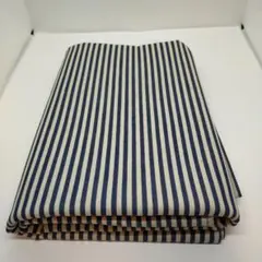 Item thumbnail for item 38683de7-87d5-4ec1-8404-e5daaf048119