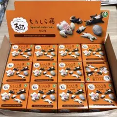 【新品箱売り】ZooZooZoo もうしら寝 スペシャルカラーver 12個