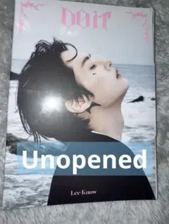 Straykids DOIT リノ アコーディオン 未開封