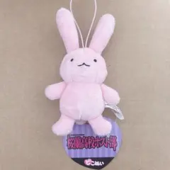 桜蘭高校ホスト部 ピコぬい