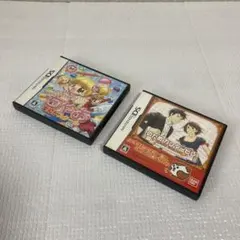 TS23 ニンテンドーDSソフト2本まとめ セット売り ちゃお のだめ