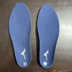 MIZUNO インソール 24.5cm EEEE