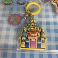 TDR めじるしアクセサリー チャーム トイストーリーマニア スーベニア