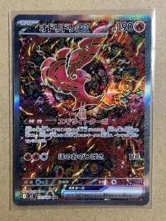 ポケモンカード　オドリドリex SAR 1枚