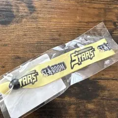 Item thumbnail for item dd955bfa-d16b-4332-8afb-6830ea301d25