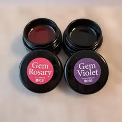 PREGEL　ジェルカラー　２色セット売り♪