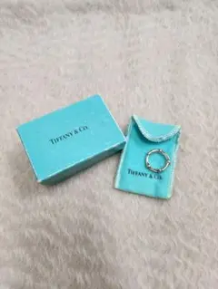 old Tiffany バンブー ピアス(片耳) - メルカリ