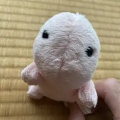 リトルビーンズ LittleBeans うさぎ