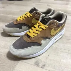 美品 NIKE ナイキ エアマックス1 ダックパック　28.5cm