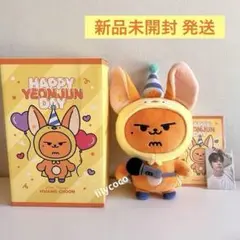 TXT ヨンジュン ぬいぐるみ 10㎝ キーホルダー トレカケース セット TOMORROW X TOGETHER ヨンジュン ファンチュン トレカケース